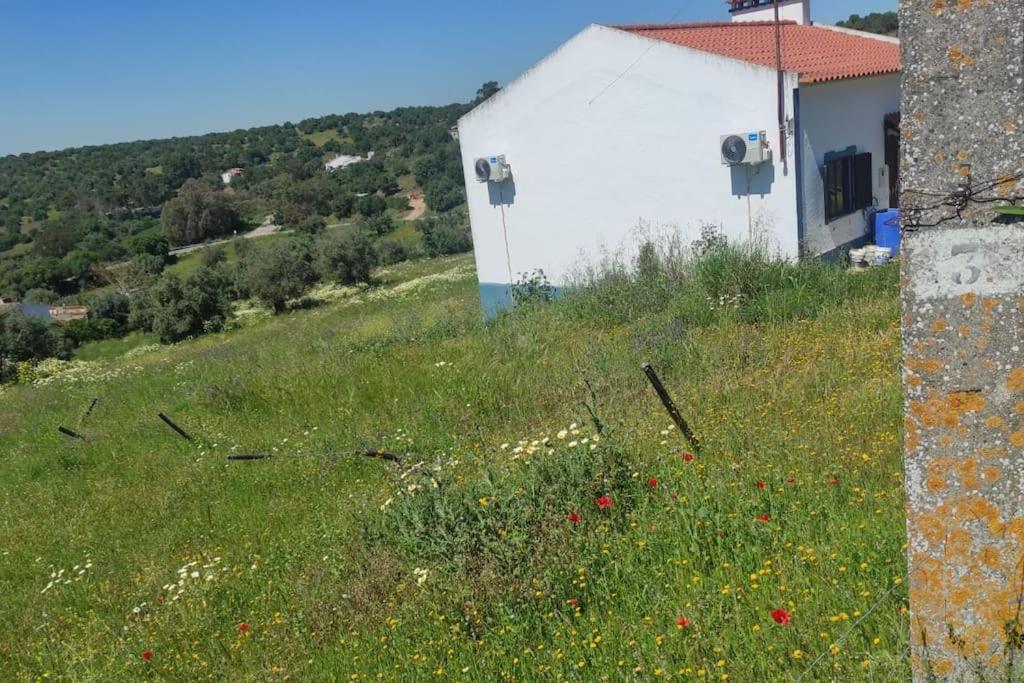 Nova Quinta Moderna Torramo Em Oliveiras, Campo De Laranjas, Na Nacional 2, Alentejo 13750 M2 Villa Torrão Exterior foto