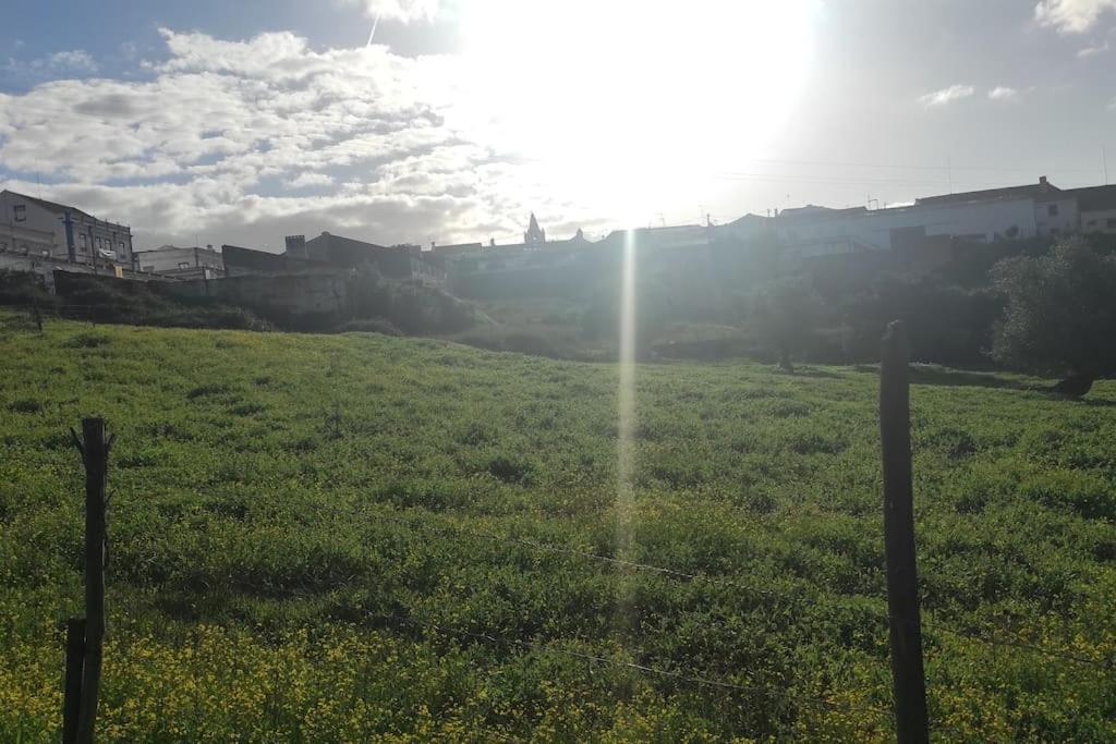 Nova Quinta Moderna Torramo Em Oliveiras, Campo De Laranjas, Na Nacional 2, Alentejo 13750 M2 Villa Torrão Exterior foto