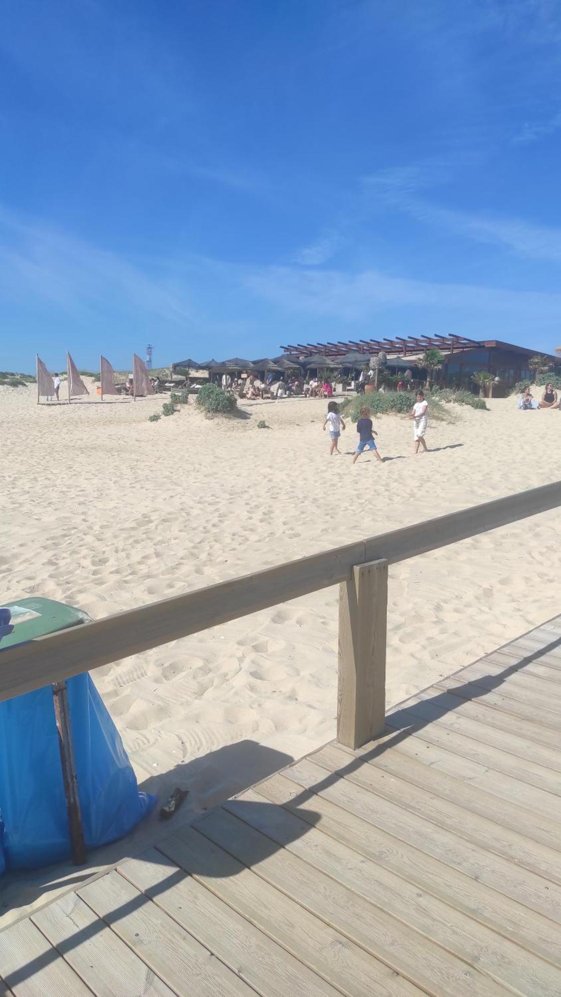 Nova Quinta Moderna Torramo Em Oliveiras, Campo De Laranjas, Na Nacional 2, Alentejo 13750 M2 Villa Torrão Cameră foto