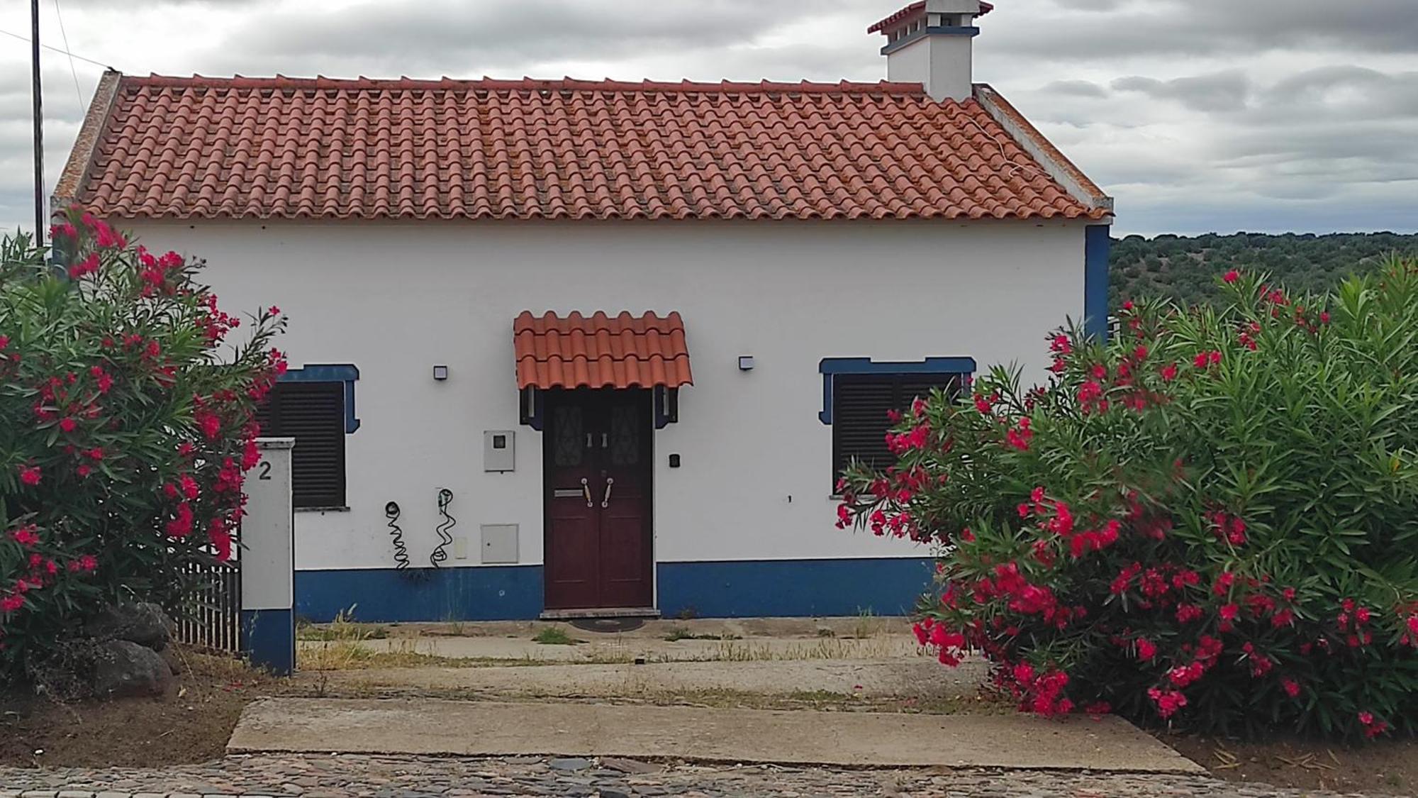 Nova Quinta Moderna Torramo Em Oliveiras, Campo De Laranjas, Na Nacional 2, Alentejo 13750 M2 Villa Torrão Exterior foto